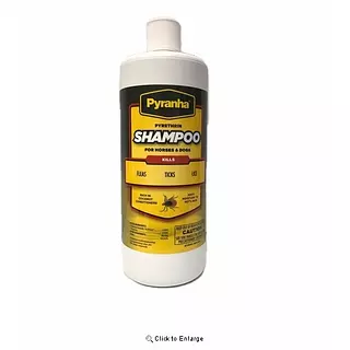Pyranha Shampoo